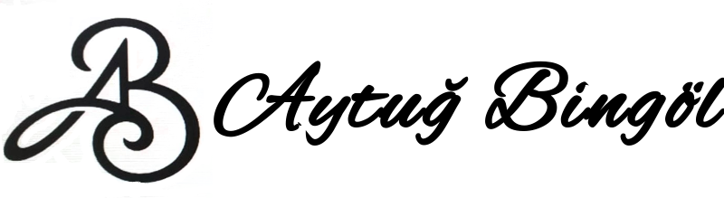 aytugbingol.com